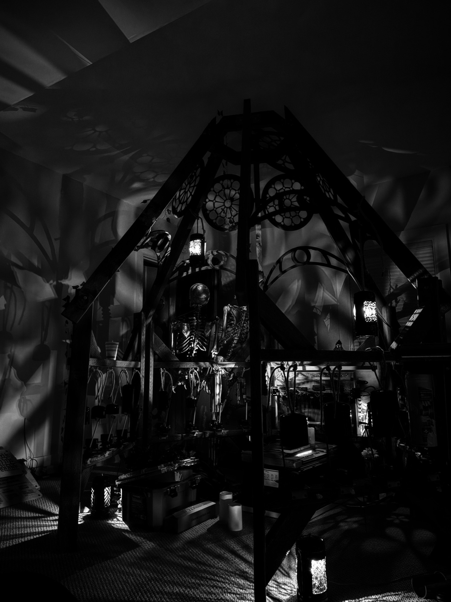 The Organ Of No Body