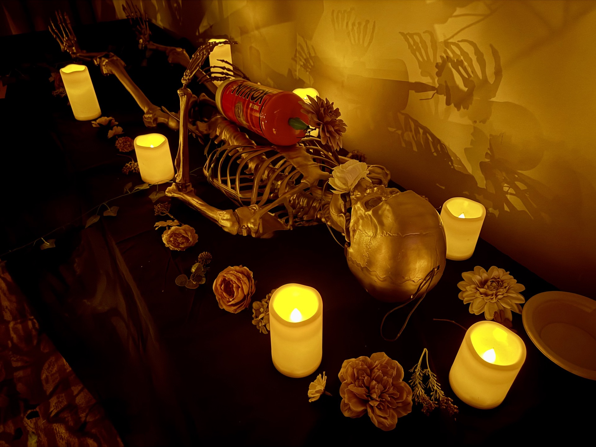 The Organ Of No Body